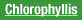 Chlorophyllis